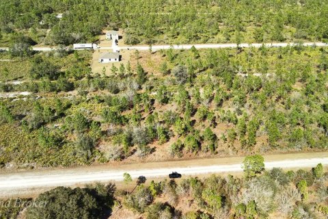 Land in Indian lake estates, Florida № 2161952 - photo 11