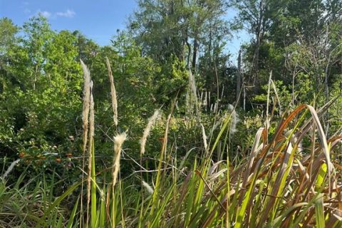 Terreno en venta en Kissimmee, Florida № 1680829 - foto 3