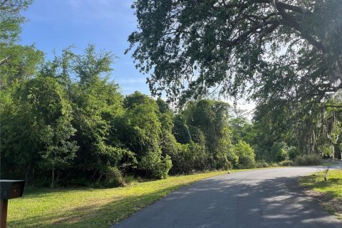 Terreno en venta en Kissimmee, Florida № 1680829 - foto 12