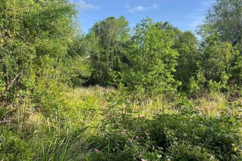 Terreno en venta en Kissimmee, Florida № 1680829 - foto 6