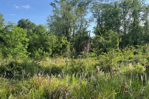 Terreno en venta en Kissimmee, Florida № 1680829 - foto 1