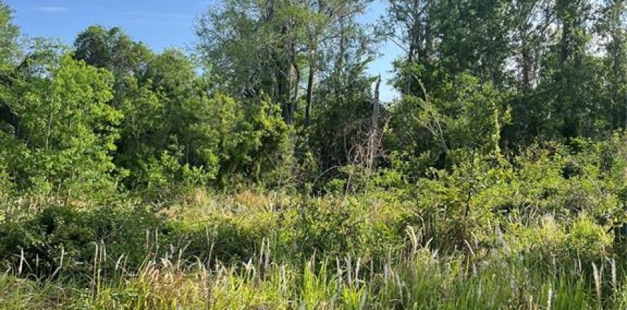 Terreno en Kissimmee, Florida № 1680829