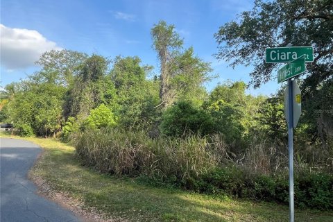Terreno en venta en Kissimmee, Florida № 1680829 - foto 14