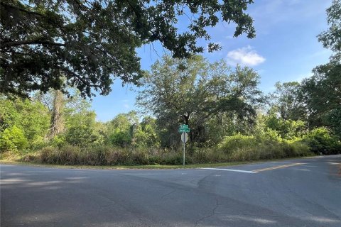 Terreno en venta en Kissimmee, Florida № 1680829 - foto 16