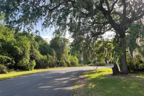 Terreno en venta en Kissimmee, Florida № 1680829 - foto 9