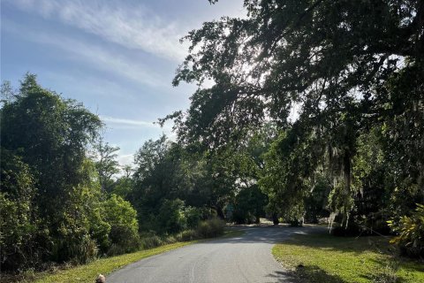 Terreno en venta en Kissimmee, Florida № 1680829 - foto 13