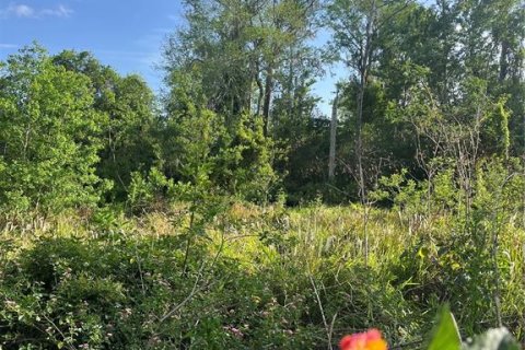 Terreno en venta en Kissimmee, Florida № 1680829 - foto 4