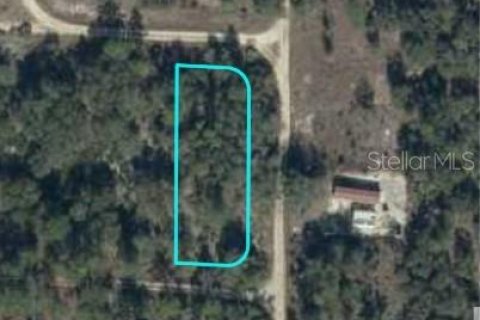 Land in Bronson, Florida № 2161639