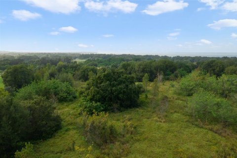 Купить земельный участок в Ялаха, Флорида № 1106504 - фото 8