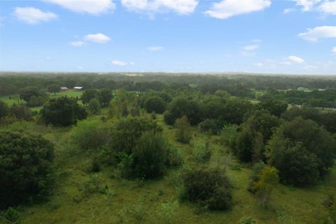 Купить земельный участок в Ялаха, Флорида № 1106504 - фото 9