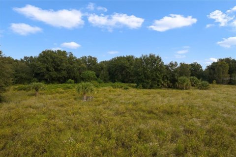 Купить земельный участок в Ялаха, Флорида № 1106504 - фото 10