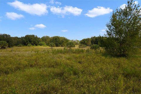 Купить земельный участок в Ялаха, Флорида № 1106504 - фото 20