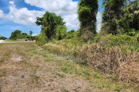 Land in Port Charlotte, Florida № 2159799 - photo 5