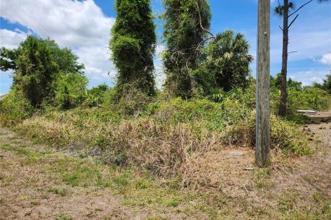 Land in Port Charlotte, Florida № 2159799 - photo 2