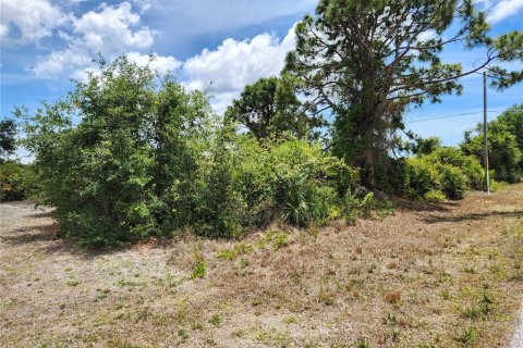 Land in Port Charlotte, Florida № 2159799 - photo 6