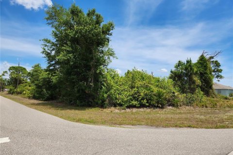 Land in Port Charlotte, Florida № 2159799
