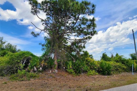 Land in Port Charlotte, Florida № 2159799 - photo 4