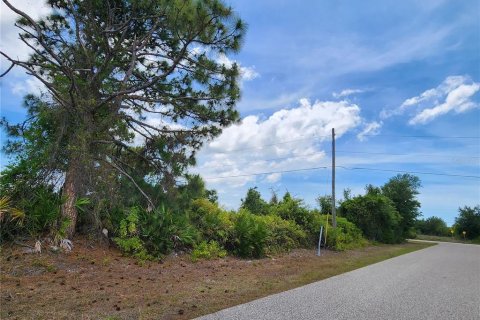 Land in Port Charlotte, Florida № 2159799 - photo 3