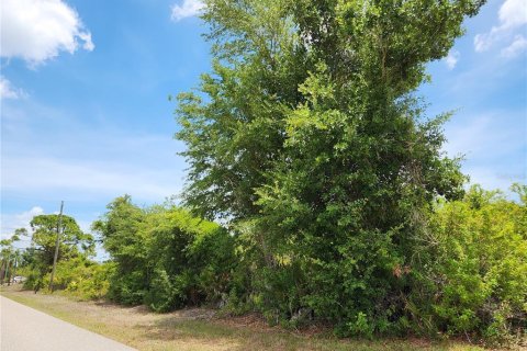 Land in Port Charlotte, Florida № 2159799 - photo 9