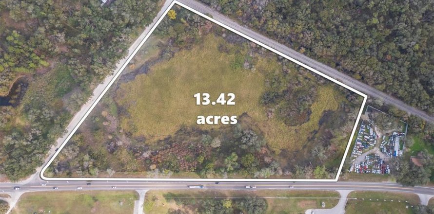 Land in Zephyrhills, Florida № 1532073