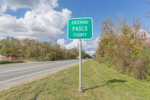 Land in Zephyrhills, Florida № 1532073 - photo 6