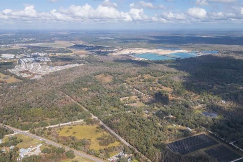 Land in Zephyrhills, Florida № 1532073 - photo 14