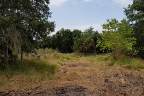 Terreno en venta en Parrish, Florida № 725522 - foto 10