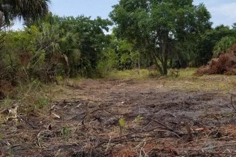 Terreno en venta en Parrish, Florida № 725522 - foto 12