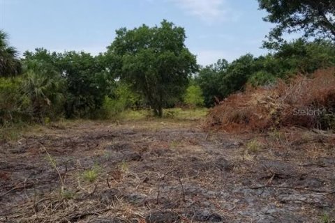 Terreno en venta en Parrish, Florida № 725522 - foto 11