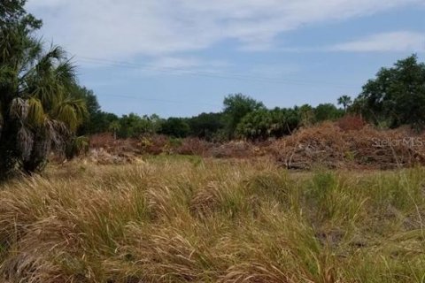 Terreno en venta en Parrish, Florida № 725522 - foto 9