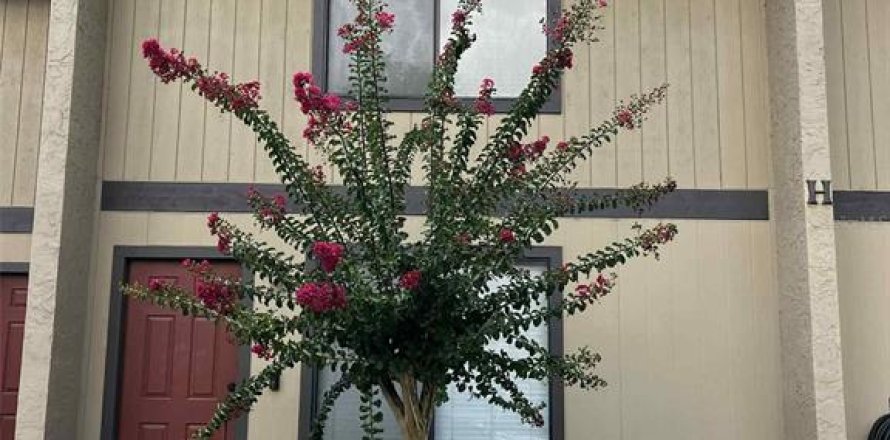 Condo à Gainesville, Floride, 2 chambres № 1895213