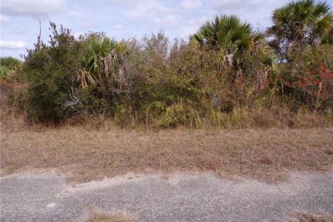 Land in North Port, Florida № 2165356 - photo 2