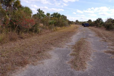 Land in North Port, Florida № 2165356 - photo 3