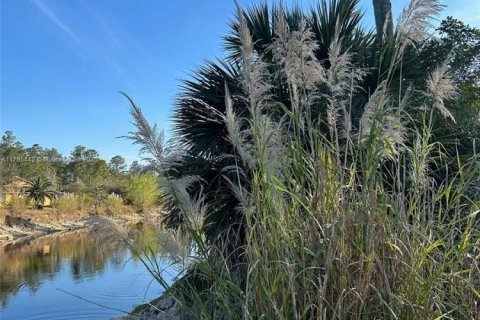 Land in Naples, Florida № 1862797 - photo 3