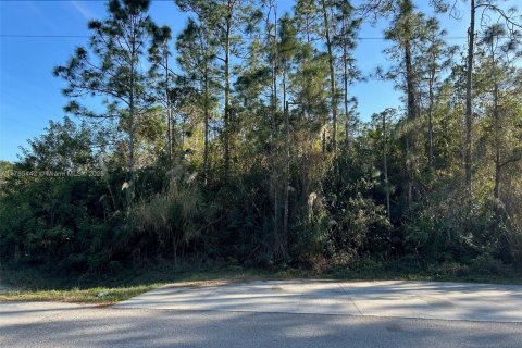 Land in Naples, Florida № 1862797 - photo 1