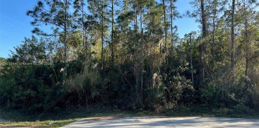 Land in Naples, Florida № 1862797