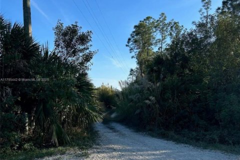 Land in Naples, Florida № 1862797 - photo 2