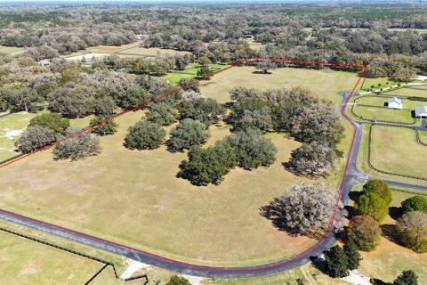 Terrain à vendre à Ocala, Floride № 1523491 - photo 3
