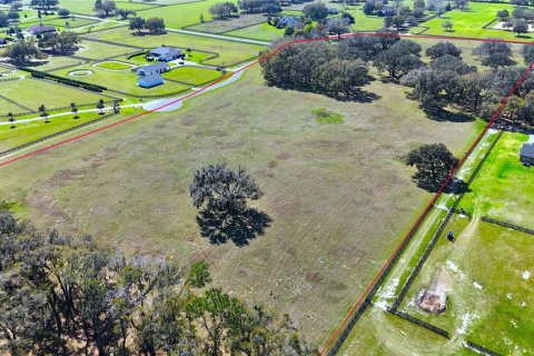 Terrain à vendre à Ocala, Floride № 1523491 - photo 8