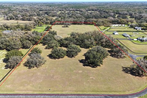 Terrain à vendre à Ocala, Floride № 1523491 - photo 2