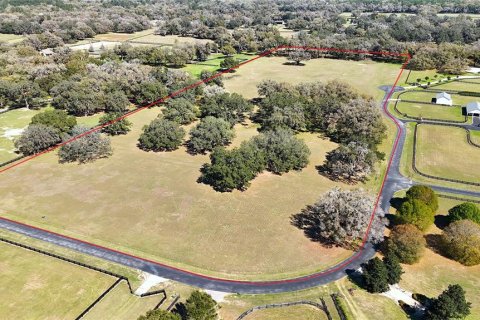 Terrain à vendre à Ocala, Floride № 1523491 - photo 4
