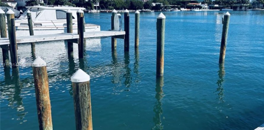 Land in Miami Beach, Florida № 1990659