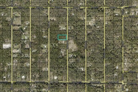 Land in Hastings, Florida № 2165469