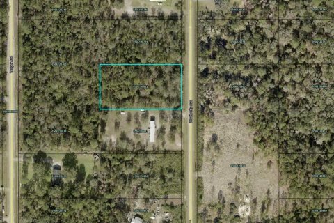 Land in Hastings, Florida № 2165469 - photo 2