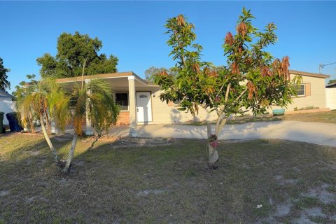Villa ou maison à vendre à Tampa, Floride: 3 chambres, 110.46 m2 № 2239001 - photo 4