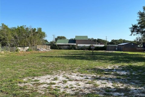 Land in Apopka, Florida № 2229237