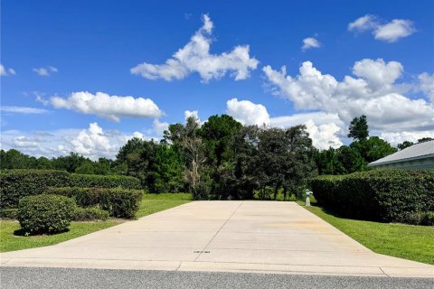 Land in Webster, Florida № 2378079 - photo 8