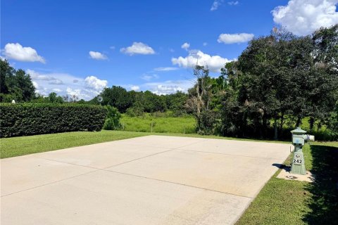 Land in Webster, Florida № 2378079 - photo 4