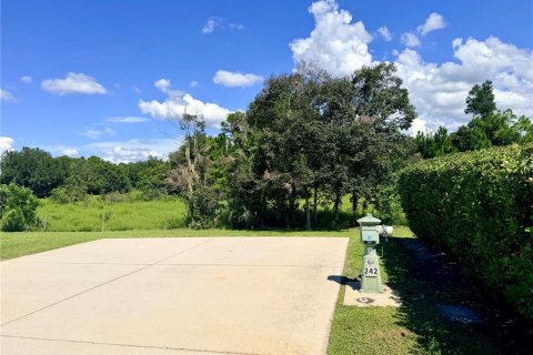 Land in Webster, Florida № 2378079 - photo 3