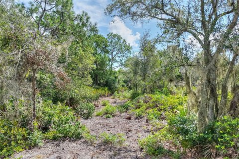 Land in Ruskin, Florida № 2341914 - photo 13